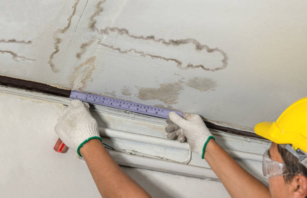 Reliable Water Damage Repair contractor in Cokato, MN by Hirex Water Damage